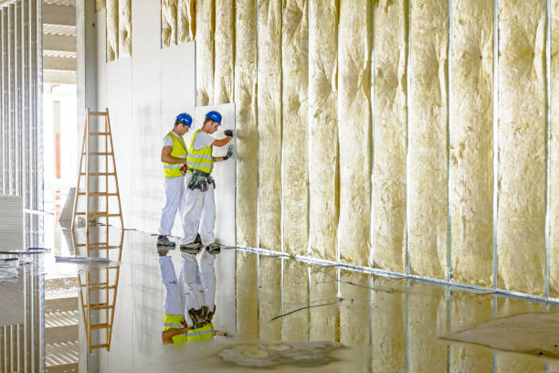 Best Energy Efficiency Insulation in Hastings, PA